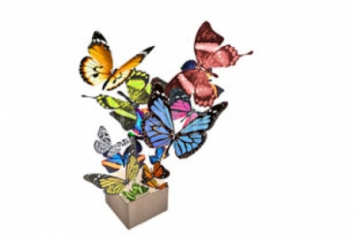 Живые бабочки Стало чрезвычайно популярным посылать друг другу ''живые открытки''. Представляете, Вы дарите своему любимому человеку объемный  специальный треугольный конверт, перевязанный ленточкой. При развязывании ленточки оттуда вылетает ''живой цветок'' – бабочка! Разве может быть способ рассказать о своих чувствах лучше? 
''Живой салют'' (10 шт. и более). Бабочки омещаются в праздничную подарочную коробку. В определенный момент коробка открывается, и из нее вылетает разноцветное ''облачко'' из бабочек, разлетающихся в разные стороны. И весь праздник бабочки будут радовать Вас и 
Ваших гостей, летая вокруг источников света, цветов, людей в яркой одежде. Виды бабочек:

DANAUS CHRYSIPPUS (сlass Danaidae), GRAPHIUM AGAMEMNON (сlass Papilionidae), HEBOMOIA GLAUCIPPE (сlass Pieridae), IDEA LEUCONOE (сlass Danaidae), PAPILIO PALINURUS (сlass Papilionidae), PAPILIO RUMNZOVIA (сlass Papilionidae), MORPHO PELEIDES, CALIGO EURILOCHUS, PARTHENOS SYLVIA, PAPILIO LOWI, KALLIMA PARALEKTA, Papilio memnon.